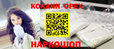 СК Кингисепп