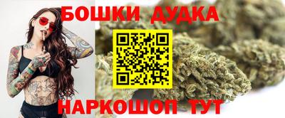 СК Кингисепп